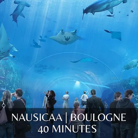 *l'oasis Du Coeur De Ville*spacieux Et Moderne * Gravelines